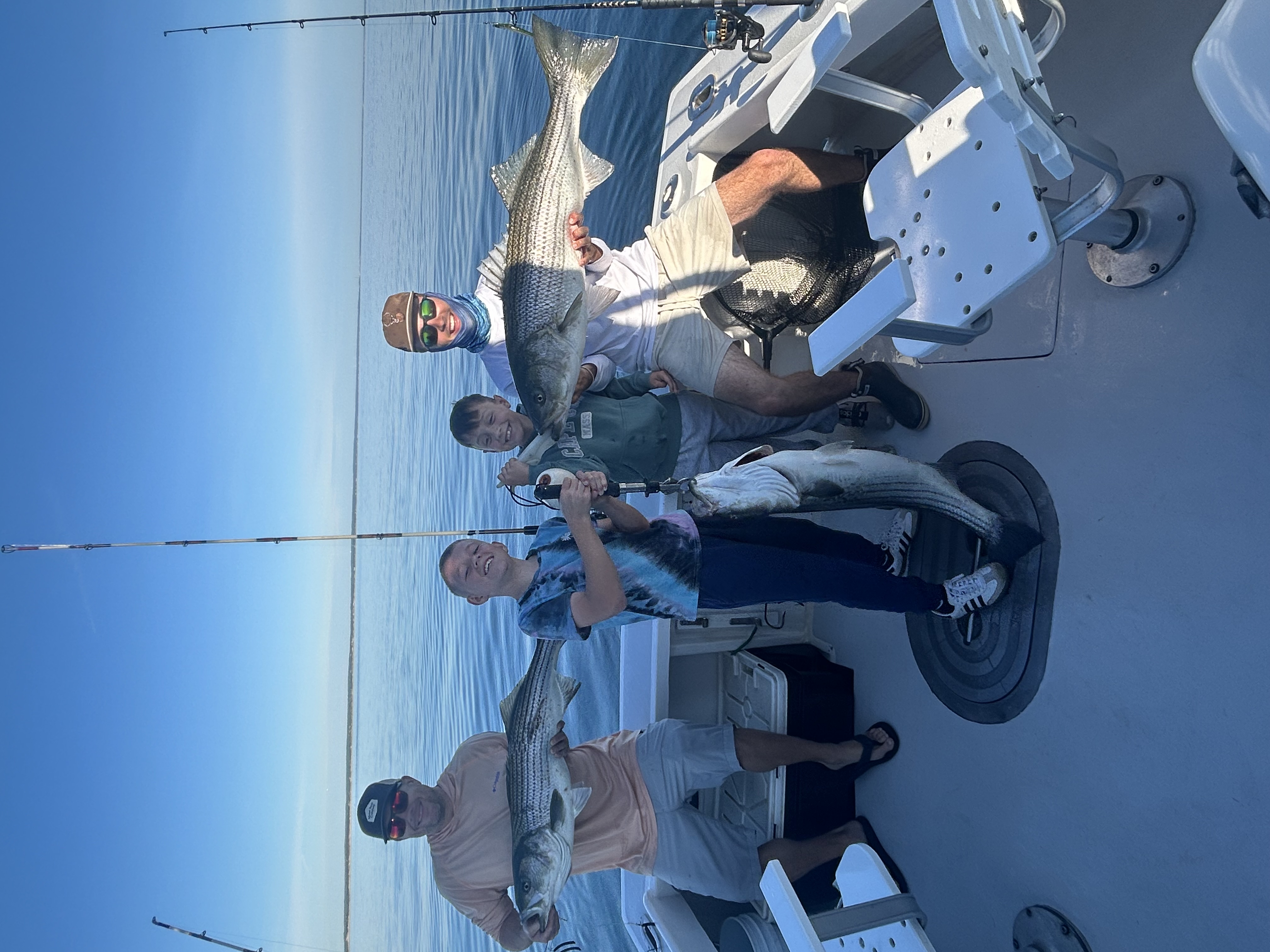 Cape Cod striped bass catch June 2026