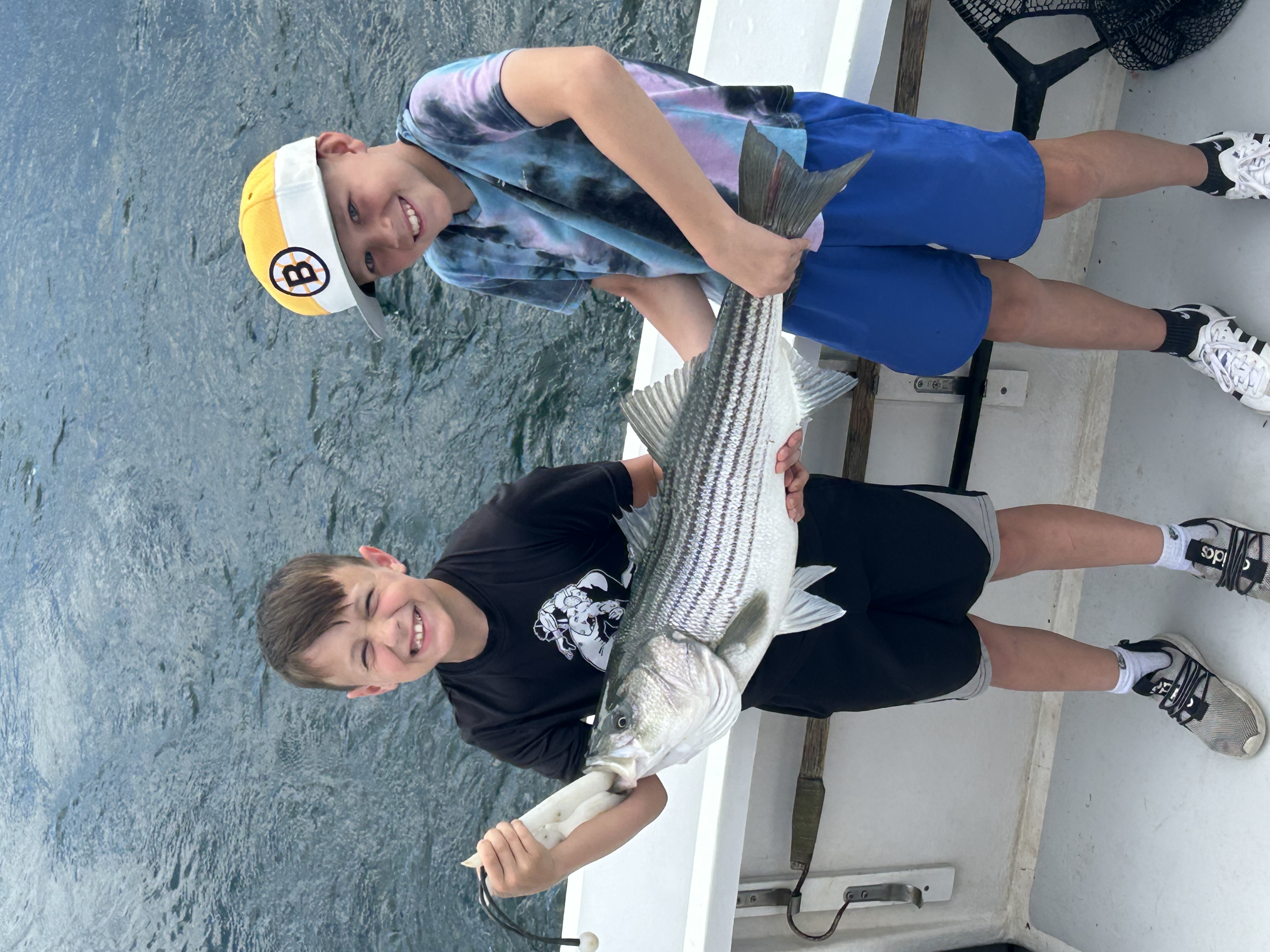 Barnstable Harbor striped bass